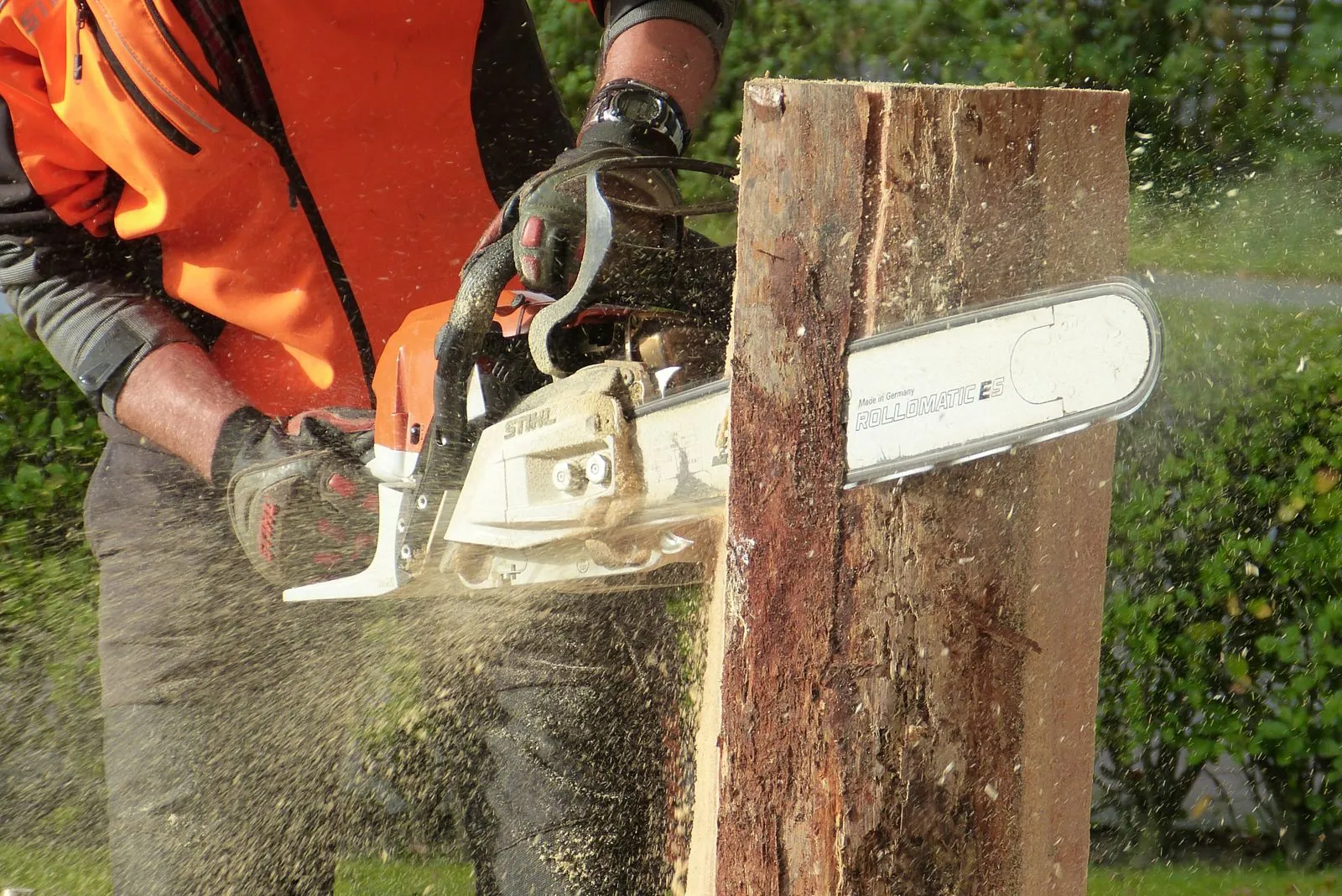 Tree Surgeons work on a Teesside home