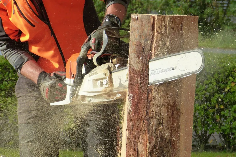 Tree Surgeons work on a Teesside home